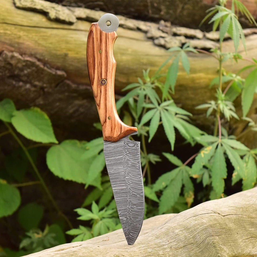 Damascus Steel Hunting Knife 8.5" | Olive Wood Handle