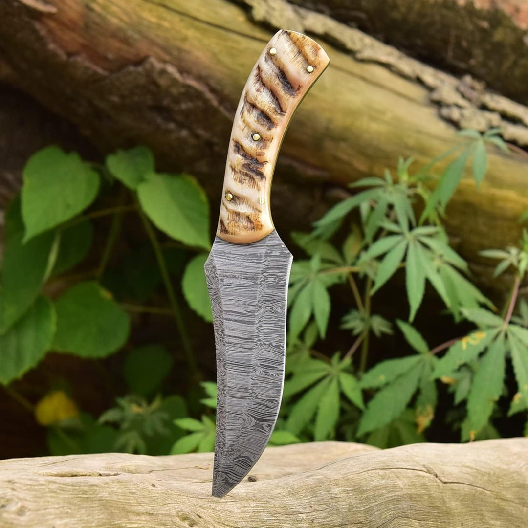 8.5" Damascus Hunting Knife | Ram Horn Handle