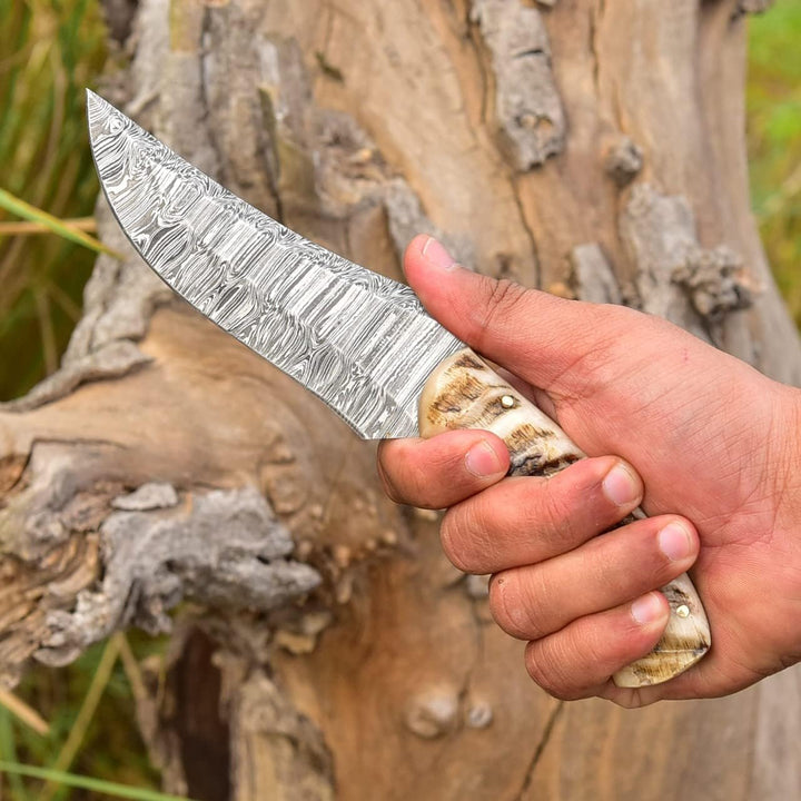 8.5" Damascus Hunting Knife | Ram Horn Handle