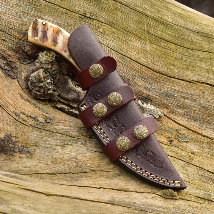 8.5" Damascus Hunting Knife | Ram Horn Handle