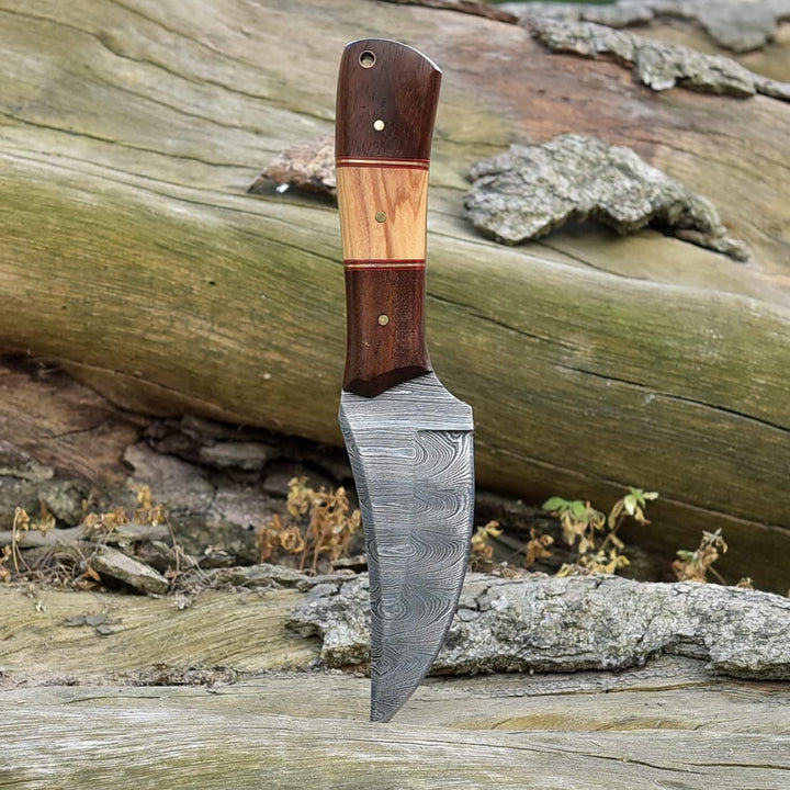 Survival Damascus Knife 8" | Ideal for Camping | Rose / Olive Handle